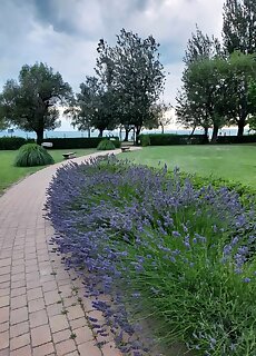 Arany Apartman Siofok