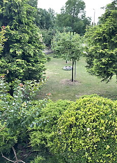 Nefelejcs Apartman Siofok