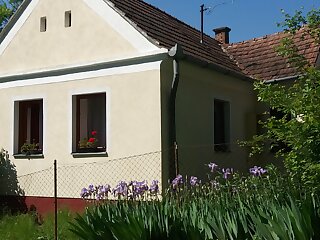 Barabasszegi Vendeghaz Es Turista Pihenohely Becsvolgye szállás