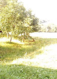 Olasz Apartman Szalafo