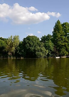 Vidralak Apartman Szarvas