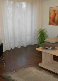 Roosevelt Apartman Szeged