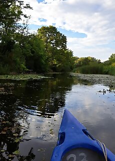 Kis Duna River Apartman Szigetszentmarton