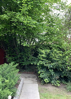 Joker 1 Day Apartman Szigetszentmiklos