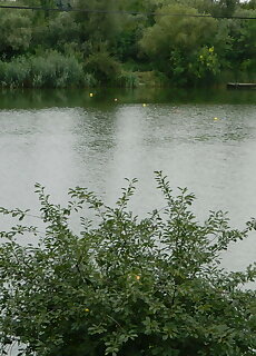 Harcsa Apartman Szolnok
