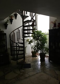 Apartman Donau Tat