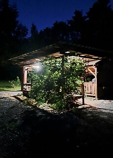 Rozsakert Apartman Zala Tekenye