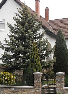 Ulrich Apartman Tihany