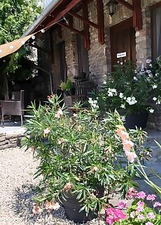 Anna Apartman Tihany