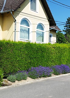 Torok Apartman Tihany