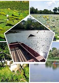 Gesztenyes Apartmanhaz Tiszaalpar