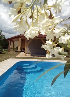 Potyka Apartman Tiszafured
