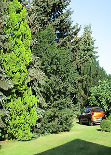 Tiszavirag Apartman Tiszafured