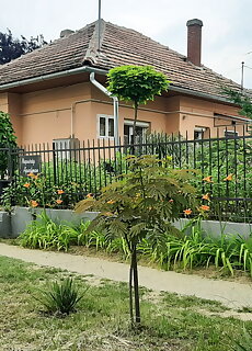 Napvirag Apartman Tiszafured