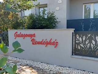Galagonya Vendeghaz Bogyoszlo szállás