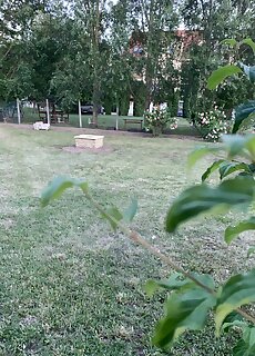 Feszek Apartmanok Tiszafured