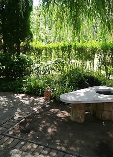 Veronika Apartman Tiszafured