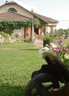 Szololugas Apartman Tiszaszolos