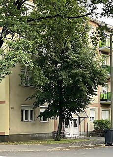 Vica Apartman Tiszaujvaros