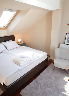August Panorama Apartman Vac