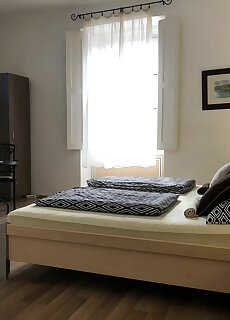 Panorama Apartman Vac