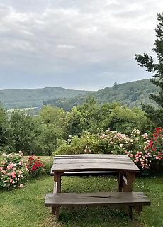 Ciklamen Apartman Velem