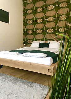 Boroka Apartman Belvaros Veszprem