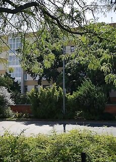 Kata Belvarosi Apartman Veszprem