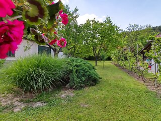 Garden House Vendeghaz Bükkszek szállás