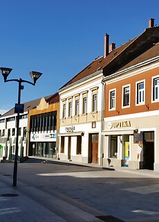 Sarolt Apartman Veszprem