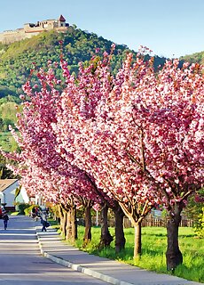 Visegrad Apartman