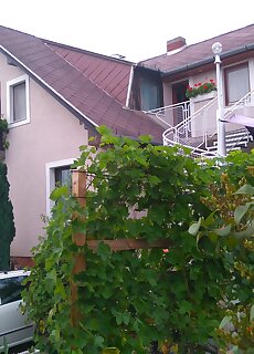 Bertalan Apartmanhaz Vonyarcvashegy