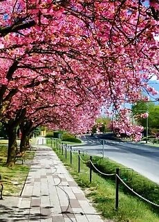 Arany Apartmanhaz Zalagyongye Zalakaros