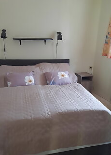 Berkenye Apartman Zalakaros