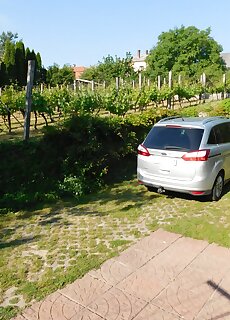Xxl Apartman Zalakaros