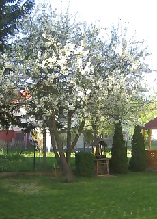 Berke Apartman Zalakaros