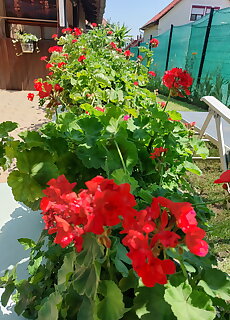 Karos Central Apartmanhaz Zalakaros