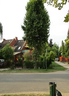 Holdhaz Apartman Zamardi