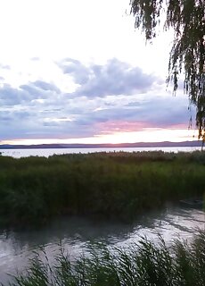 Gyongyvirag Apartman Zamardi