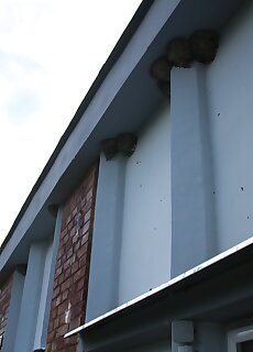 Trafohaz Apartman Zamardi
