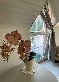 Tunde Nene Apartman Zanka