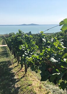 Klara Holiday Apartment Balaton