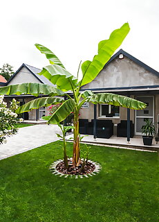 Sunny Garden Apartment Bogács