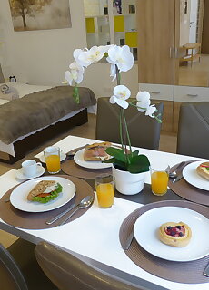 Apartment Avanti Budapest
