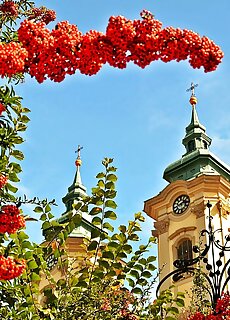 Castle Hill Apartments**** Eger