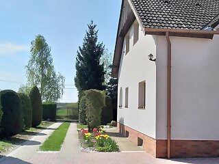Csicseri Vendeghaz Diosviszlo szállás
