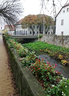 Tulip Family Apartment Eger