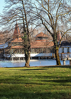 Springs Apartments Heviz