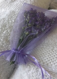 Lavender Apartment Heviz