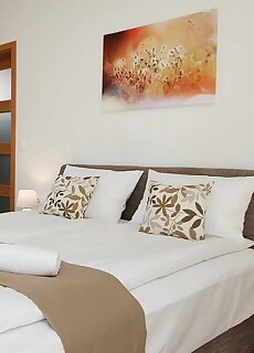 Boutique Apartment Heviz